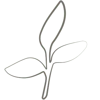 Sustainable handmade espadrilles made in Spain using natural fibers